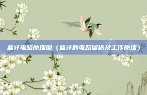 蓝牙电路原理图(蓝牙的电路图纸及工作原理)
