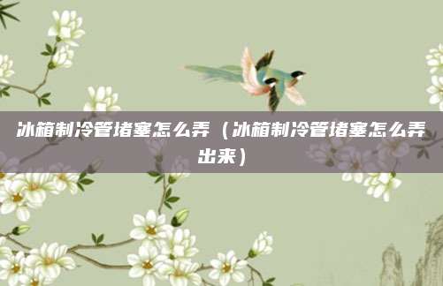 冰箱制冷管堵塞怎么弄(冰箱制冷管堵塞怎么弄出来)