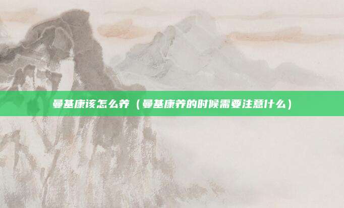 曼基康该怎么养（曼基康养的时候需要注意什么）