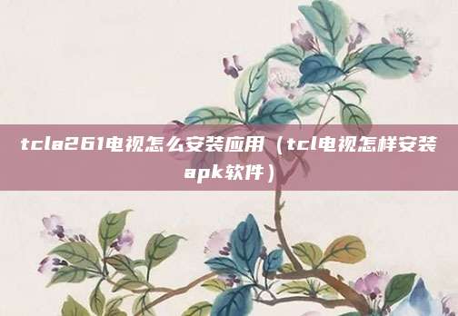 tcla261电视怎么安装应用（tcl电视怎样安装apk软件）