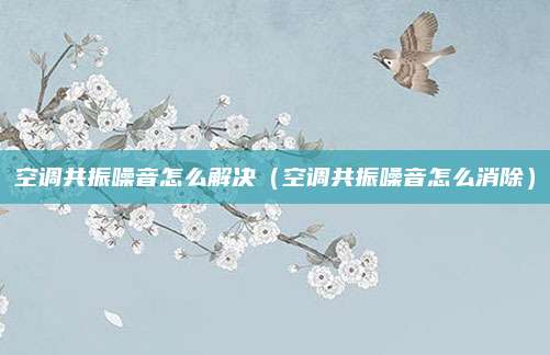 空调共振噪音怎么解决（空调共振噪音怎么消除）