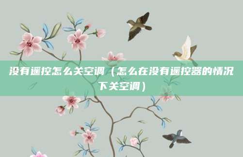没有遥控怎么关空调(怎么在没有遥控器的情况下关空调)