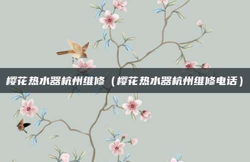 樱花热水器杭州维修(樱花热水器杭州维修电话)