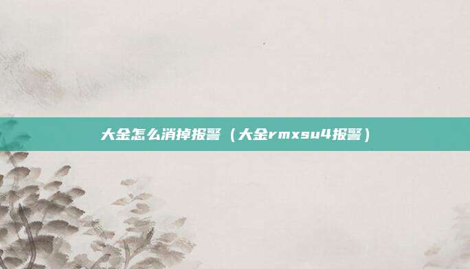 大金怎么消掉报警(大金rmxsu4报警)