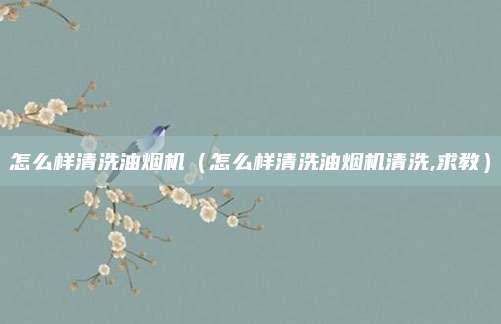 怎么样清洗油烟机(怎么样清洗油烟机清洗,求教)