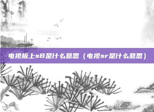 电视板上sB是什么意思(电视sr是什么意思)