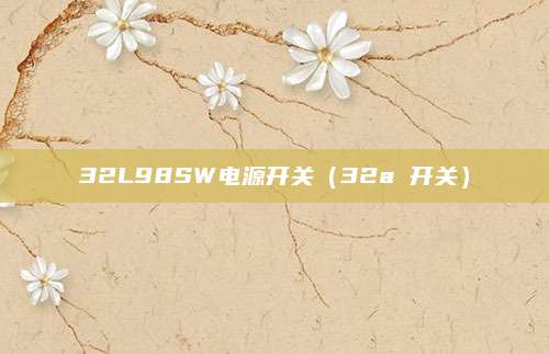 32L98SW电源开关(32a 开关)