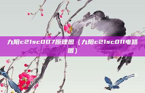 九阳c21sc007原理图（九阳c21sc011电路图）