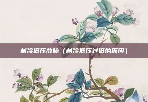 制冷低压故障(制冷低压过低的原因)