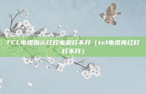 TCL电视指示红灯电源打不开(tcl电视亮红灯打不开)