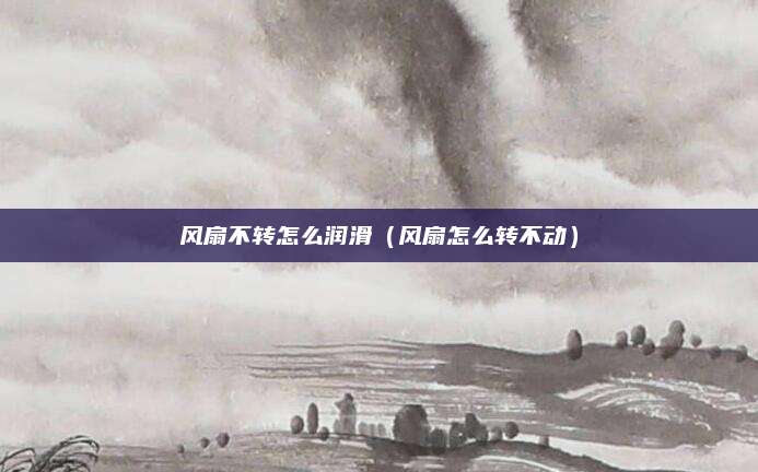风扇不转怎么润滑(风扇怎么转不动)