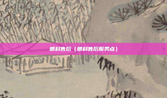 朗科售后（朗科售后服务点）