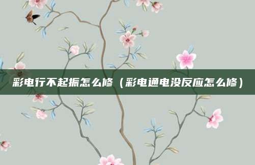 彩电行不起振怎么修（彩电通电没反应怎么修）
