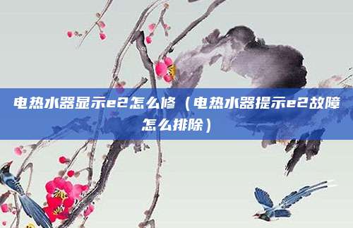 电热水器显示e2怎么修（电热水器提示e2故障怎么排除）