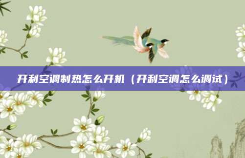 开利空调制热怎么开机（开利空调怎么调试）