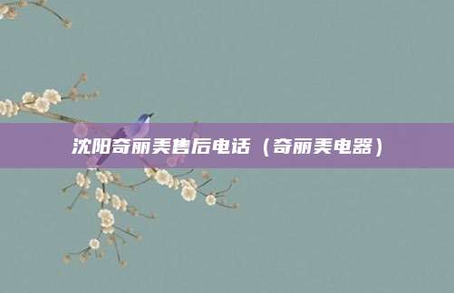 沈阳奇丽美售后电话(奇丽美电器)