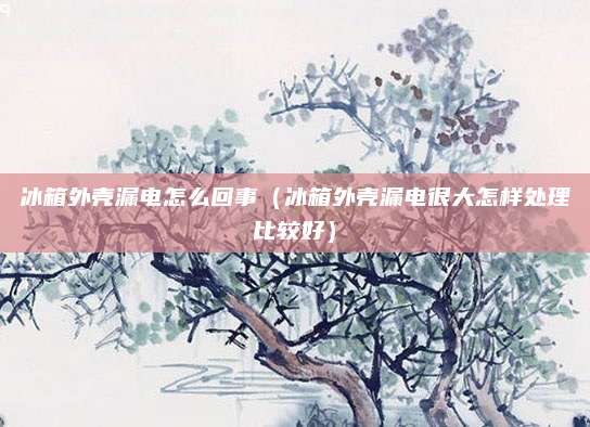 冰箱外壳漏电怎么回事（冰箱外壳漏电很大怎样处理比较好）