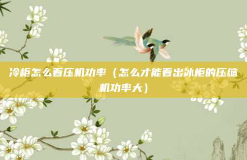 冷柜怎么看压机功率（怎么才能看出冰柜的压缩机功率大）