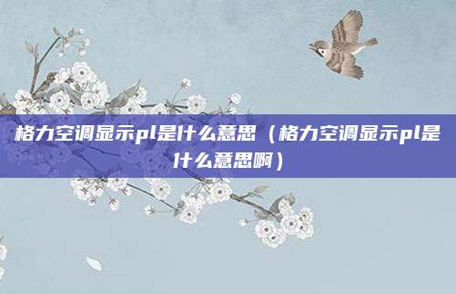 格力空调显示pl是什么意思（格力空调显示pl是什么意思啊）