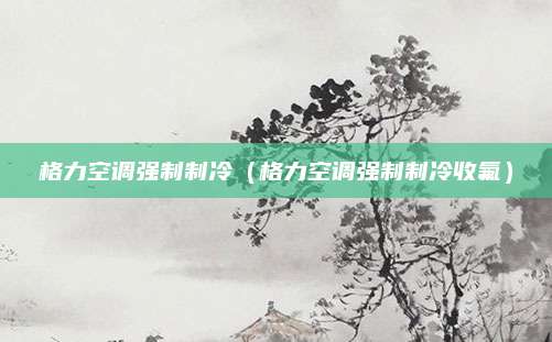 格力空调强制制冷（格力空调强制制冷收氟）