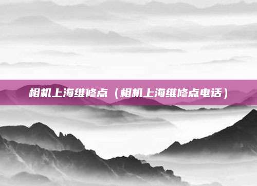 相机上海维修点（相机上海维修点电话）