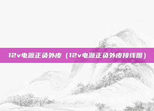 12v电源正负外皮(12v电源正负外皮接线图)