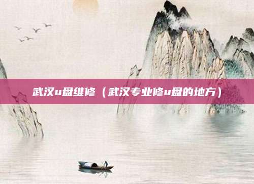 武汉u盘维修（武汉专业修u盘的地方）