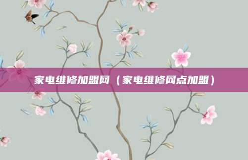 家电维修加盟网（家电维修网点加盟）