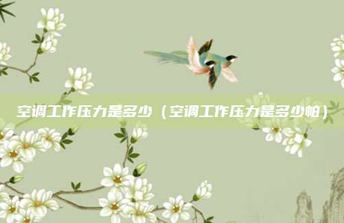 空调工作压力是多少（空调工作压力是多少帕）