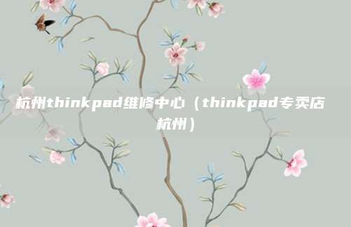 杭州thinkpad维修中心（thinkpad专卖店 杭州）