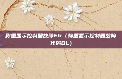 称重显示控制器故障E6（称重显示控制器故障代码OL）