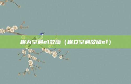 格为空调e1故障（格立空调故障e1）