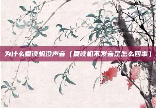 为什么复读机没声音（复读机不发音是怎么回事）