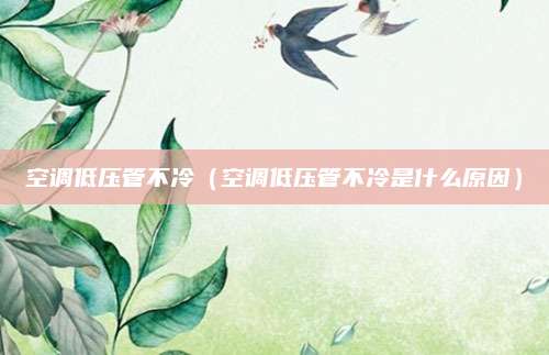 空调低压管不冷（空调低压管不冷是什么原因）