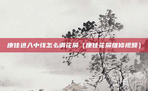康佳进入中线怎么调花屏（康佳花屏维修视频）