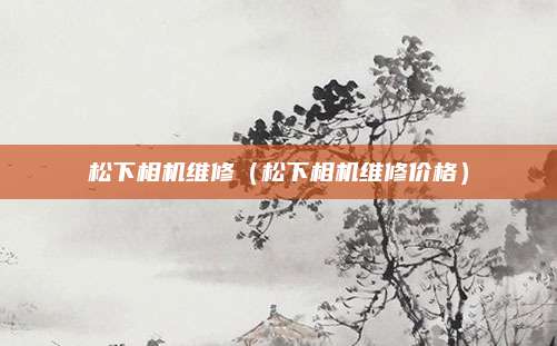 松下相机维修（松下相机维修价格）