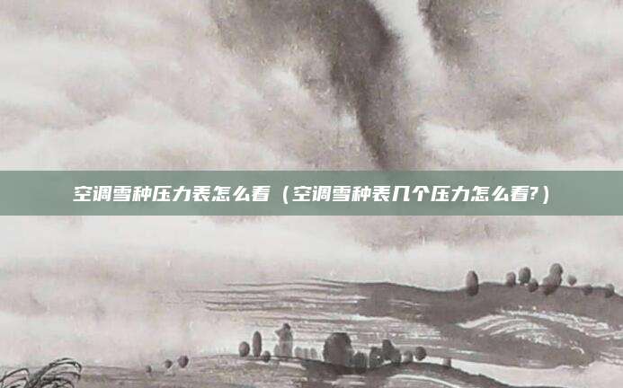 空调雪种压力表怎么看(空调雪种表几个压力怎么看?)