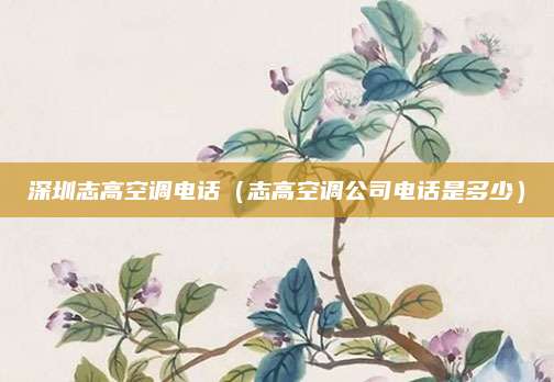 深圳志高空调电话（志高空调公司电话是多少）
