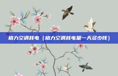 格力空调耗电（格力空调耗电量一天多少钱）