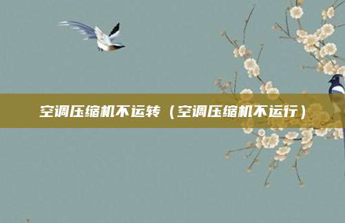 空调压缩机不运转（空调压缩机不运行）