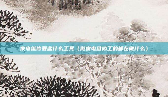 家电维修要些什么工具（做家电维修工的都在做什么）