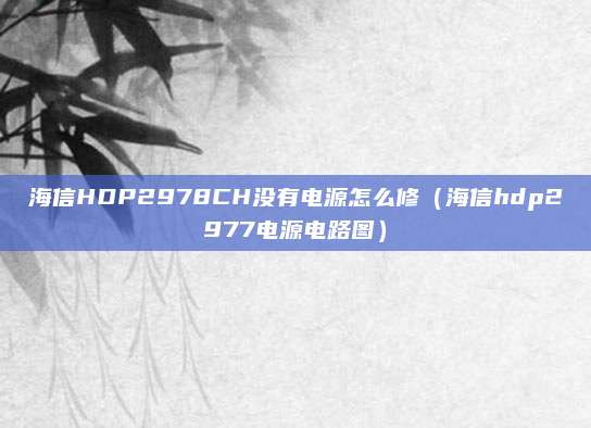 海信HDP2978CH没有电源怎么修(海信hdp2977电源电路图)