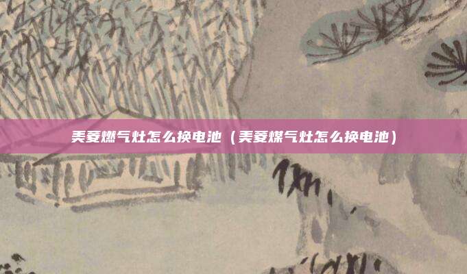 美菱燃气灶怎么换电池（美菱煤气灶怎么换电池）