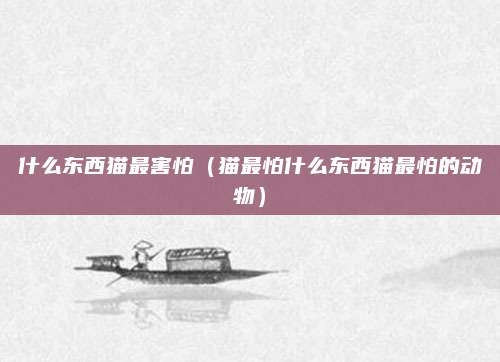 什么东西猫最害怕（猫最怕什么东西猫最怕的动物）