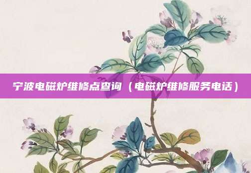 宁波电磁炉维修点查询（电磁炉维修服务电话）