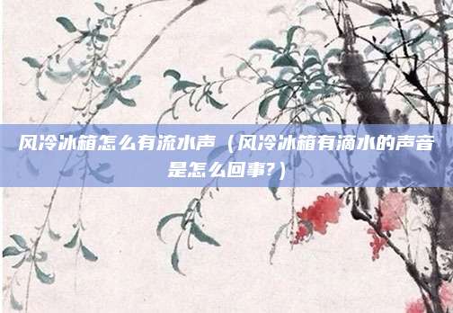 风冷冰箱怎么有流水声（风冷冰箱有滴水的声音是怎么回事?）