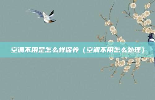 空调不用是怎么样保养（空调不用怎么处理）