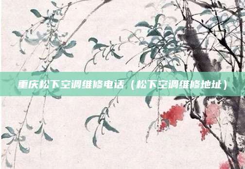 重庆松下空调维修电话（松下空调维修地址）