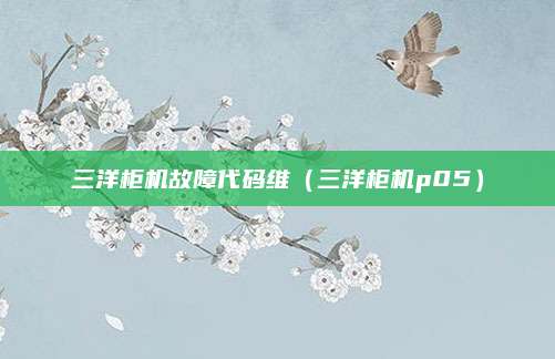 三洋柜机故障代码维（三洋柜机p05）