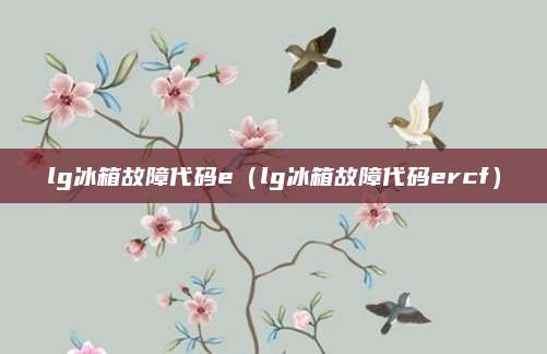 lg冰箱故障代码e（lg冰箱故障代码ercf）